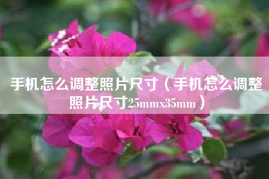 手机怎么调整照片尺寸（手机怎么调整照片尺寸25mmx35mm）