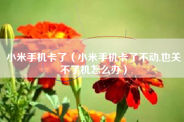小米手机卡了（小米手机卡了不动,也关不了机怎么办）