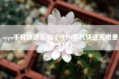 oppo手机快速充电（OPPO手机快速充电是多少瓦）