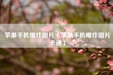 苹果手机爆炸图片（苹果手机爆炸图片卡通）