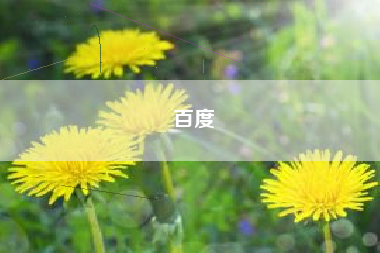 百度