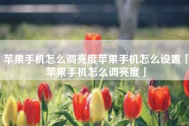 苹果手机怎么调亮度苹果手机怎么设置「苹果手机怎么调亮度」