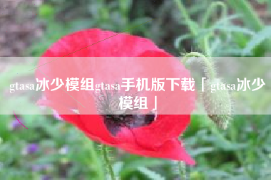 gtasa冰少模组gtasa手机版下载「gtasa冰少模组」