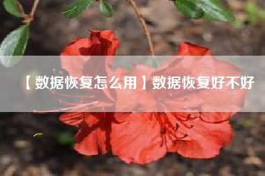 【数据恢复怎么用】数据恢复好不好