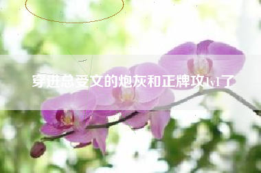 穿进总受文的炮灰和正牌攻1v1了 穿进总受文的炮灰和正牌攻1v1了