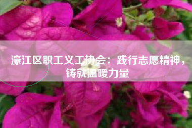 濠江区职工义工协会：践行志愿精神，铸就温暖力量