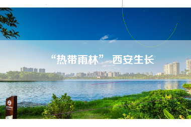 “热带雨林” 西安生长